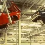Image of DAF plant - Born